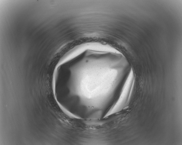 X0000066960968200604142111