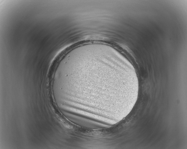 X0000066960971200604142111