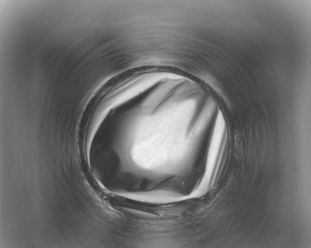 X0000066960972200604142111