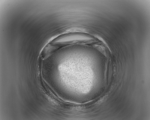 X0000066960973200604142111