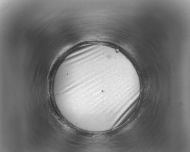 X0000066960974200604142111