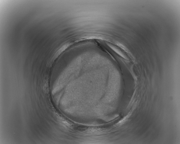 X0000066960977200604142111