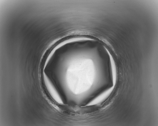 X0000066960981200604142111