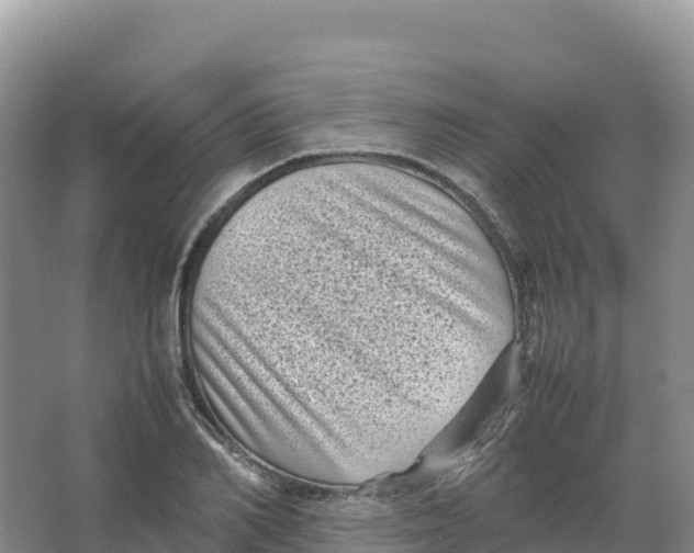 X0000066960982200604142111