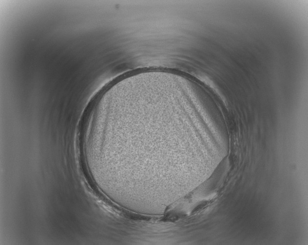 X0000066960983200604142110