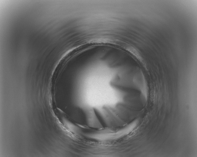 X0000066960984200604142110