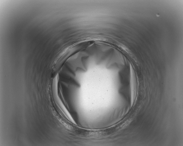 X0000066960985200604142110