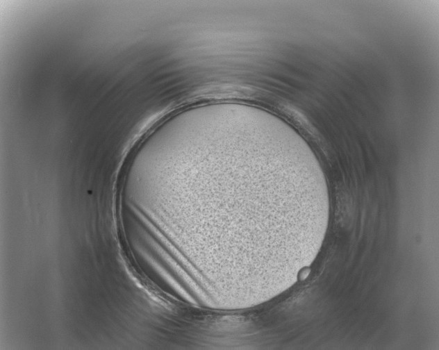 X0000066960986200604142110