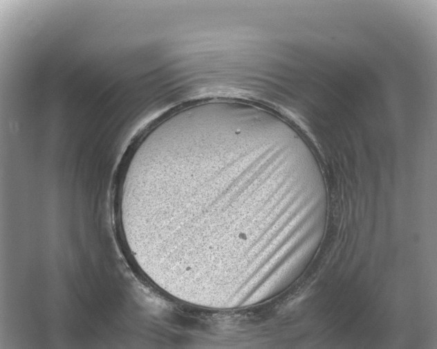 X0000066960987200604142110