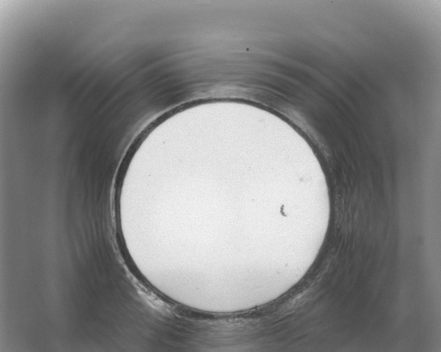 X0000066960988200604142110