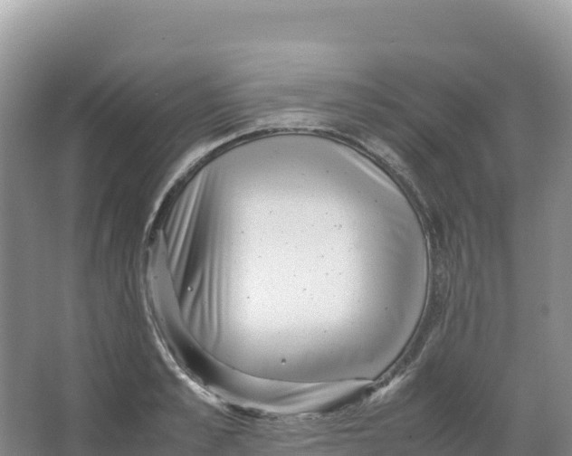 X0000066960989200604142110