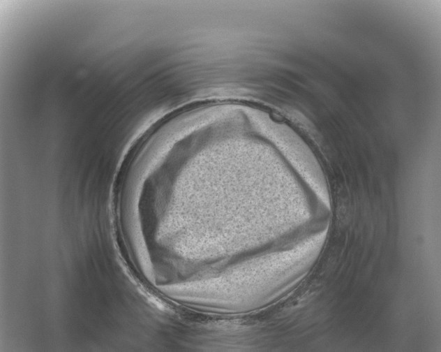 X0000066960990200604142110