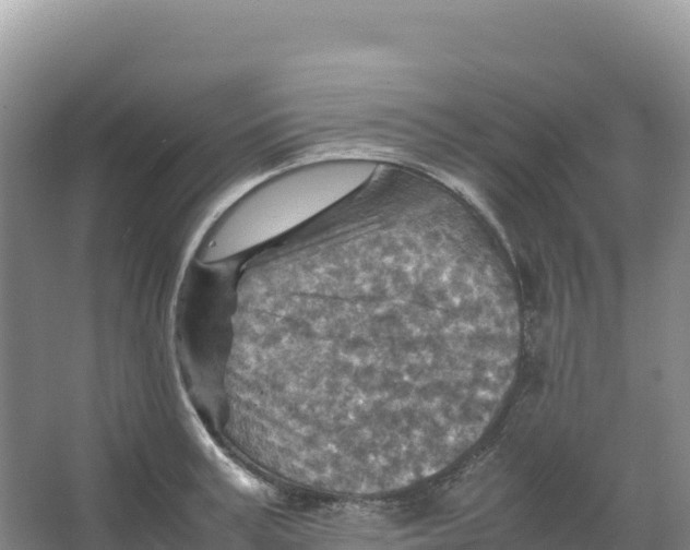 X0000066960995200604142110