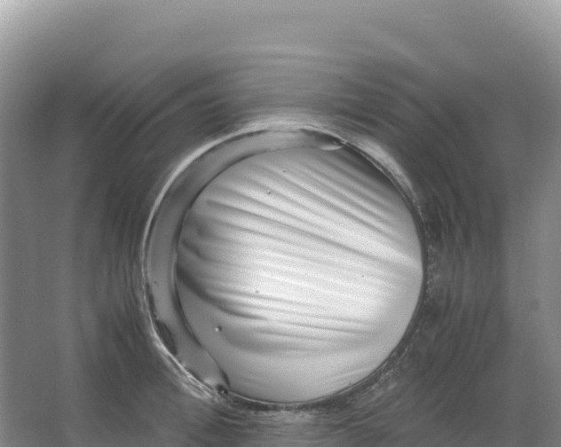 X0000066960996200604142110