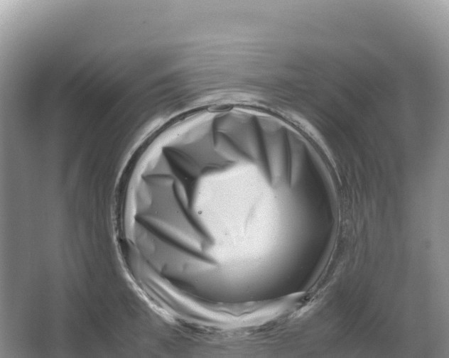 X0000066960997200604142110