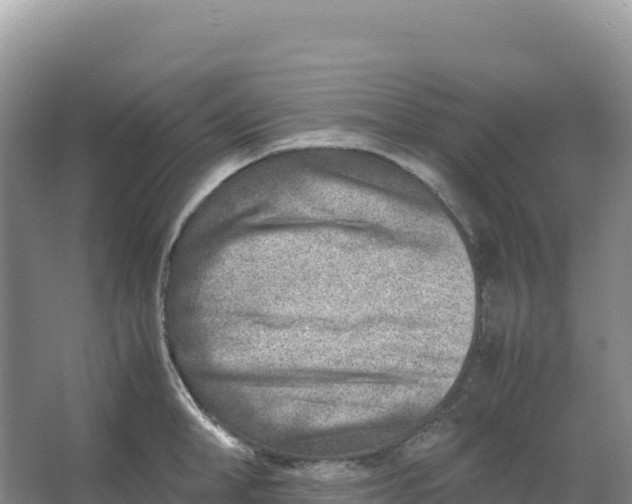 X0000066960998200604142110