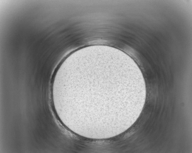 X0000066961000200604142110