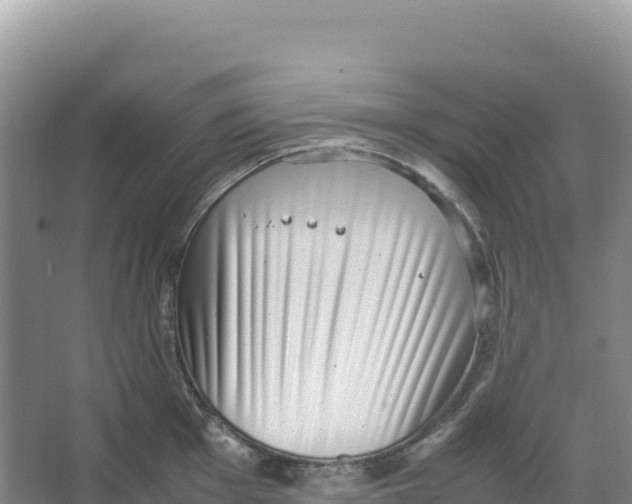 X0000066961001200604142110