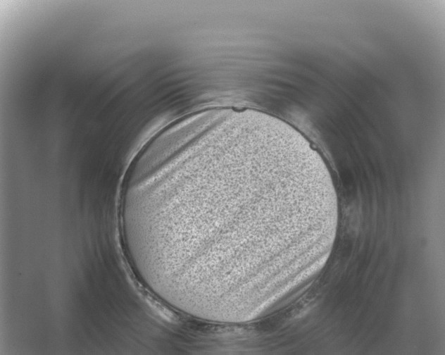 X0000066961002200604142110