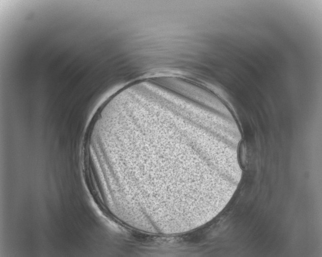 X0000066961003200604142110