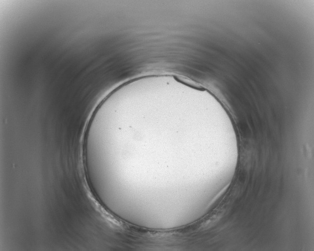 X0000066961004200604142110