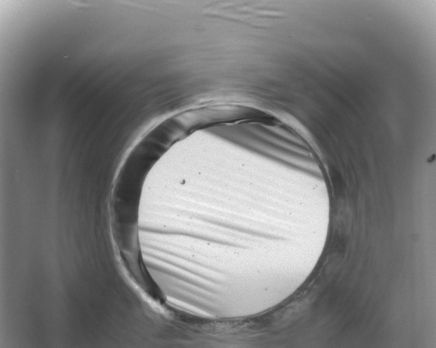 X0000066961005200604142110