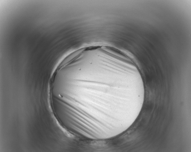 X0000066961006200604142110