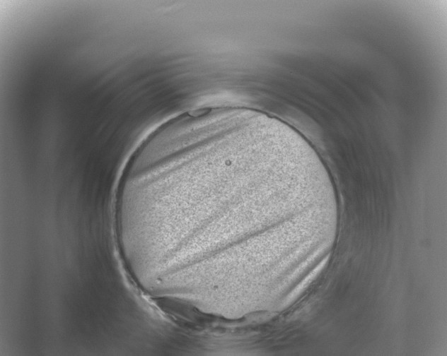 X0000066961008200604142110