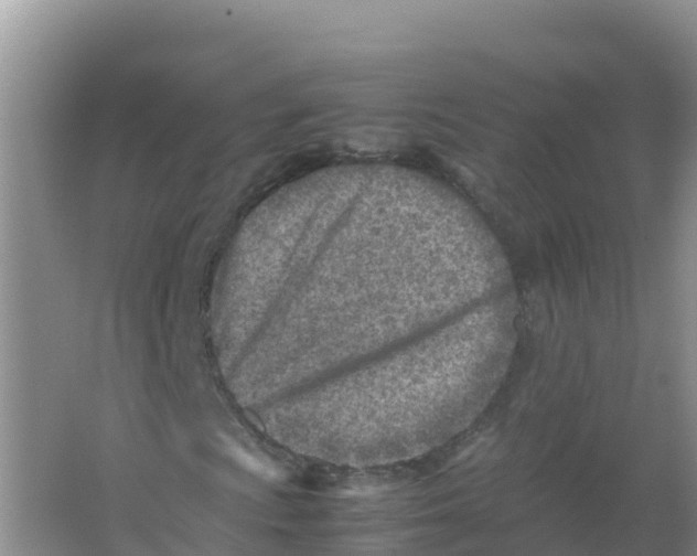 X0000066961009200604142109