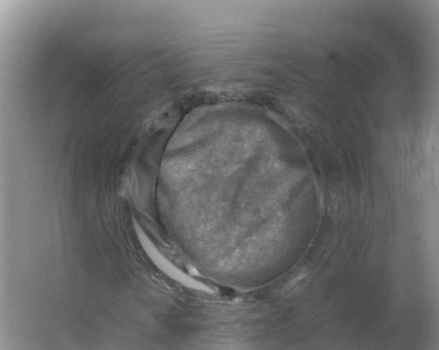 X0000066961010200604142109