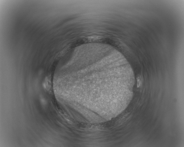 X0000066961011200604142109