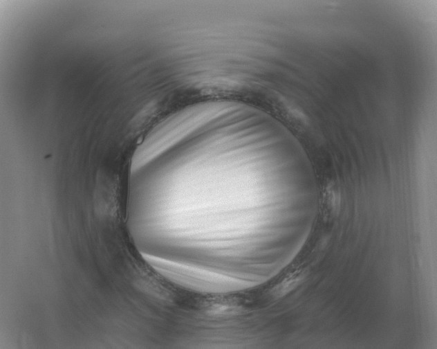 X0000066961012200604142109