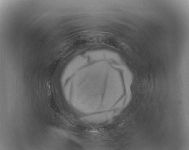 X0000066961013200604142109