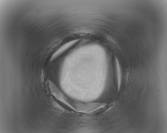 X0000066961014200604142109