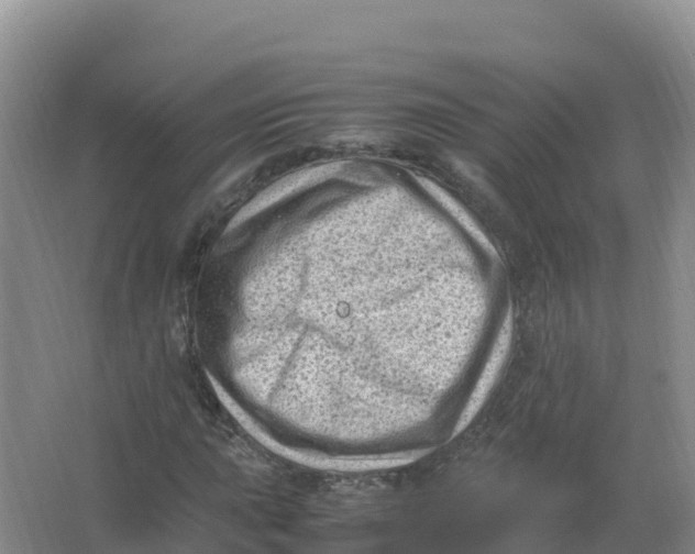 X0000066961015200604142109