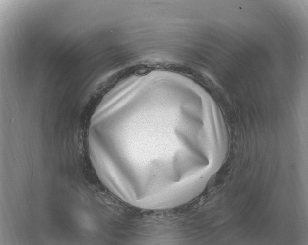 X0000066961016200604142109