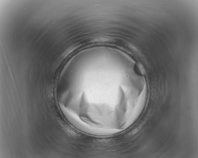 X0000066961017200604142109