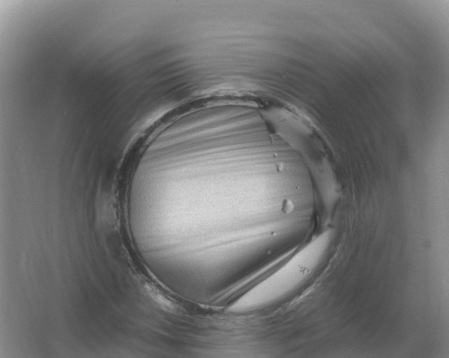 X0000066961018200604142109