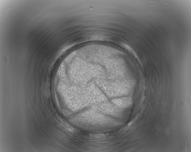 X0000066961019200604142109