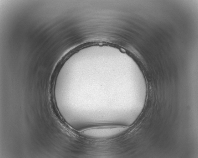 X0000066961020200604142109