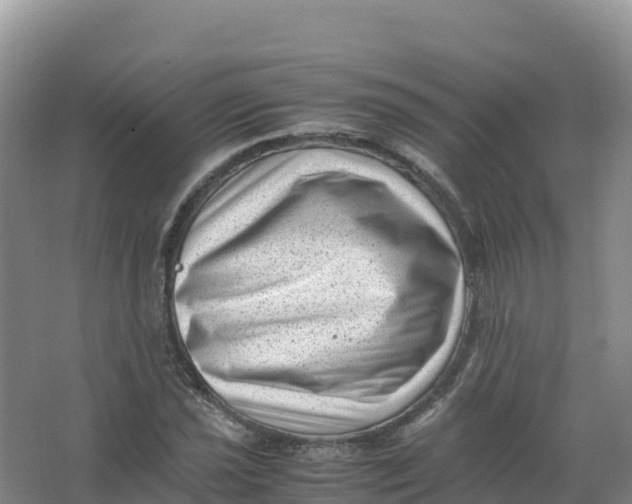 X0000066961021200604142109