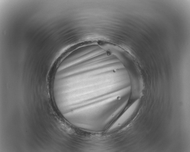 X0000066961022200604142109