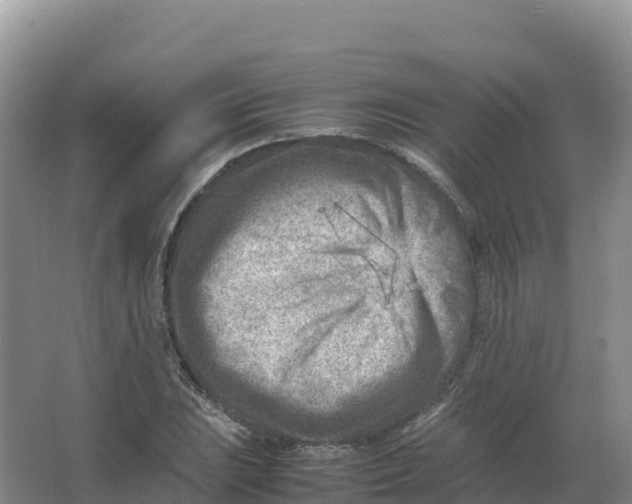 X0000066961023200604142110