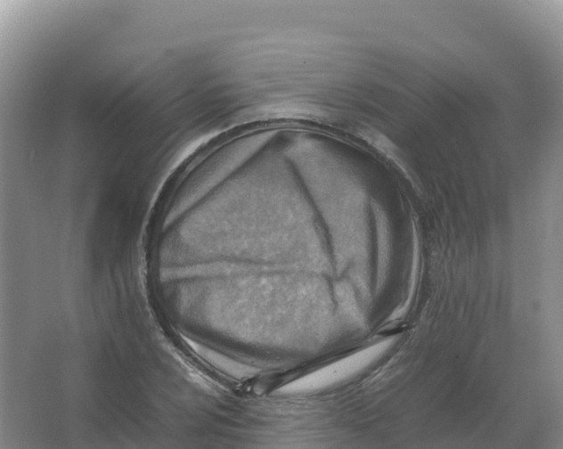 X0000066961024200604142110