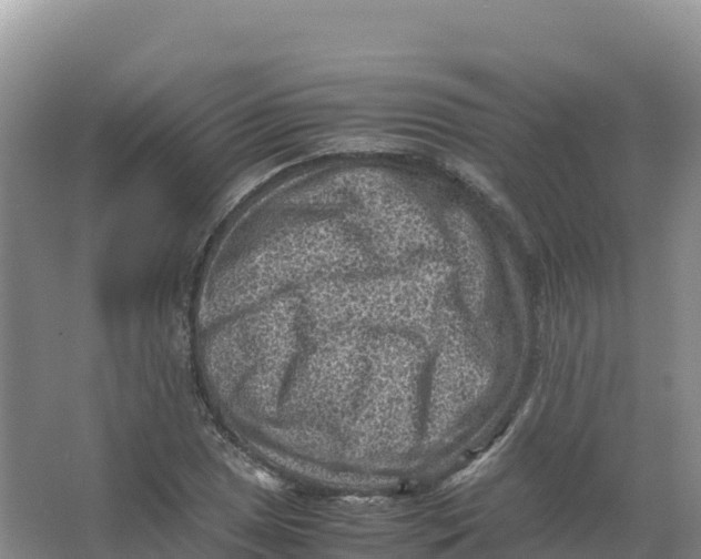 X0000066961025200604142110