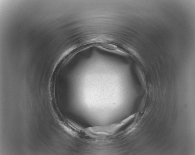 X0000066961026200604142110