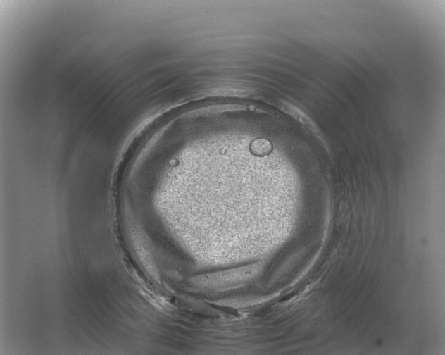 X0000066961027200604142110