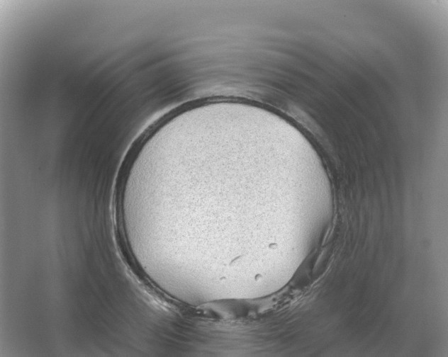 X0000066961028200604142110