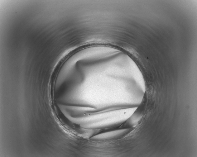 X0000066961030200604142110