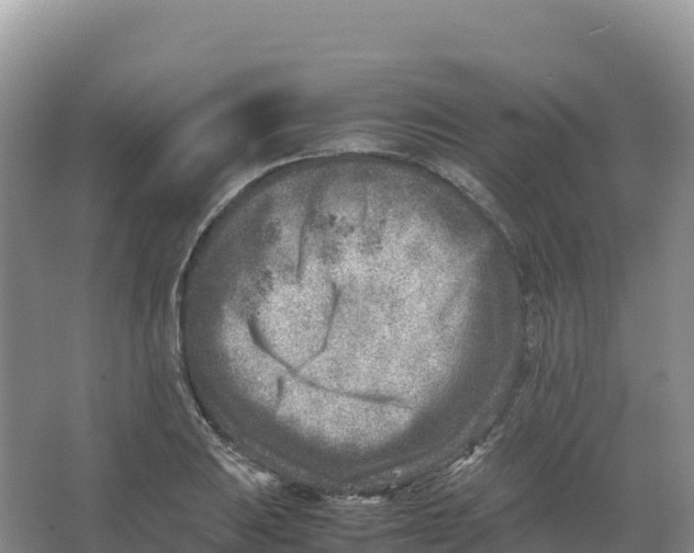 X0000066961031200604142110